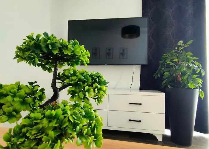 Lägenhet Luxury Penthouse Pula